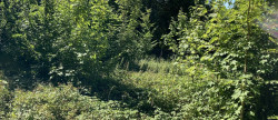 vente Terrain Rebais