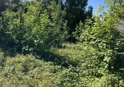 vente Terrain Rebais
