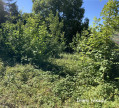 vente Terrain Rebais