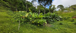 vente Terrain constructible Sainte Luce
