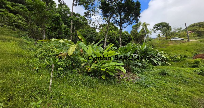 vente Terrain constructible Sainte Luce