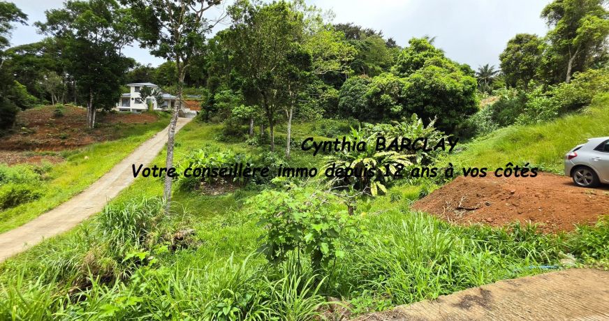 vente Terrain constructible Sainte Luce