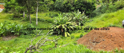 vente Terrain constructible Sainte Luce