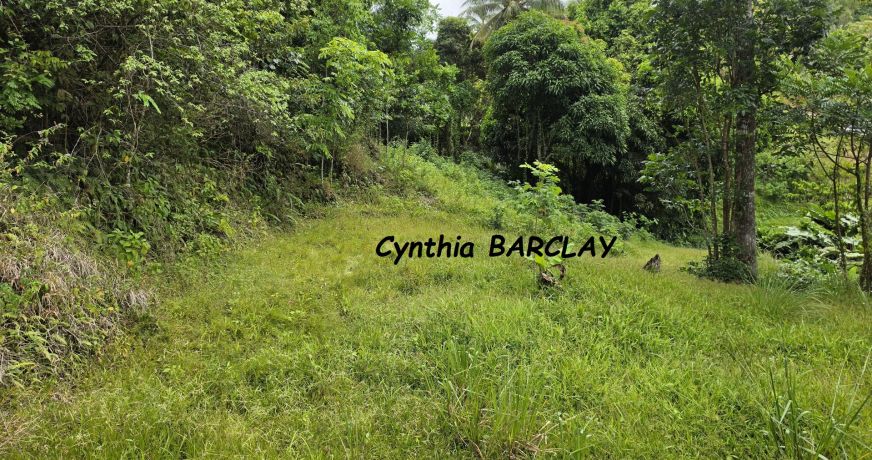 vente Terrain constructible Sainte Luce