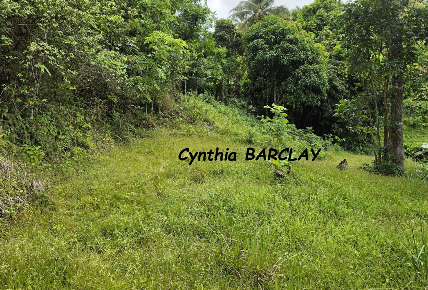 vente Terrain constructible Sainte Luce - Photo 4