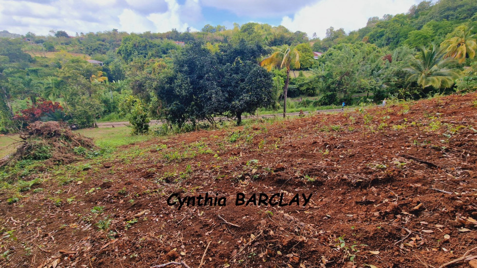 vente Terrain Le Francois - Photo 5