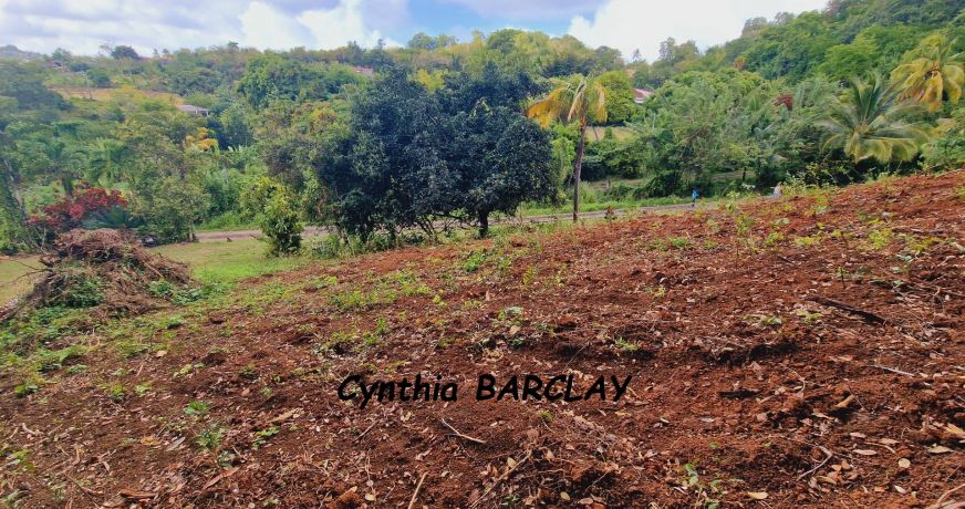 vente Terrain Le Francois