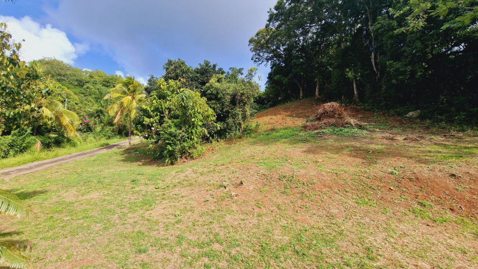 vente Terrain Le Francois - Photo 6