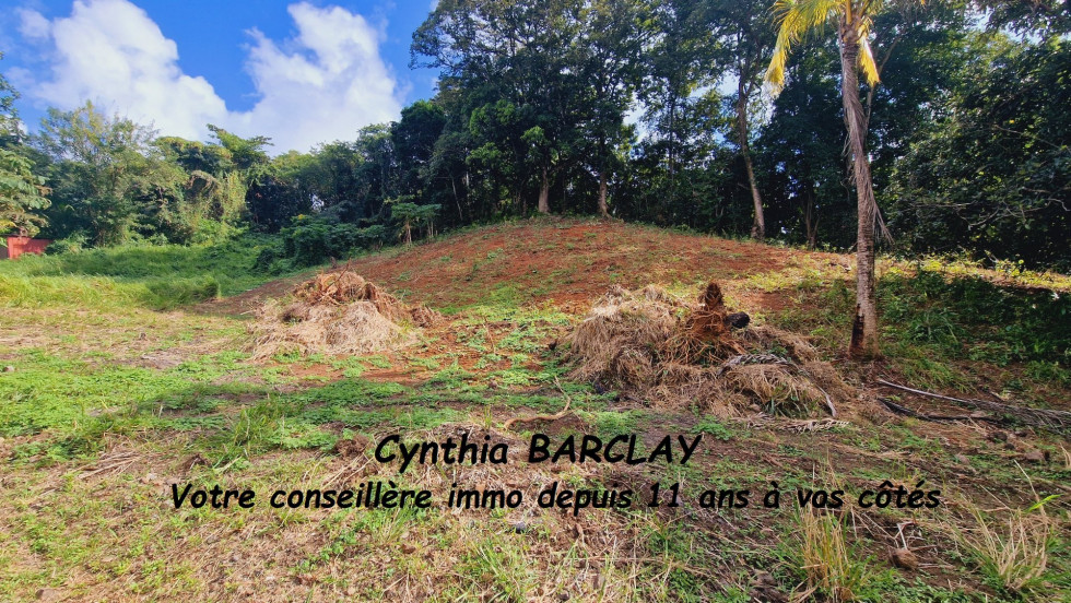 vente Terrain Le Francois - Photo 1