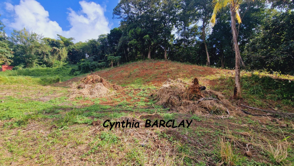 vente Terrain Le Francois - Photo 7