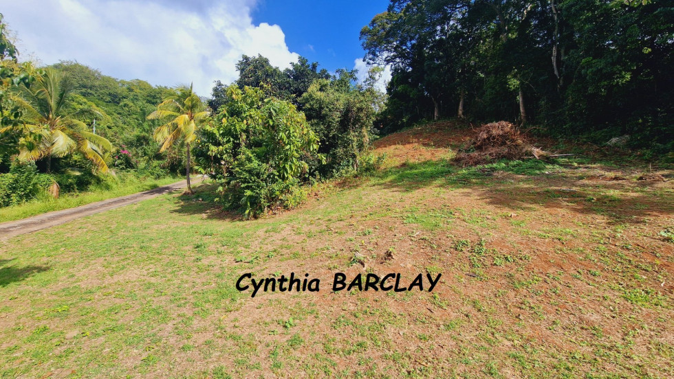 vente Terrain Le Francois - Photo 2