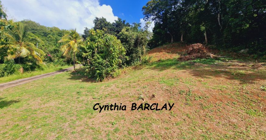 vente Terrain Le Francois