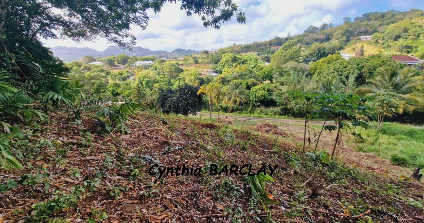 vente Terrain Le Francois