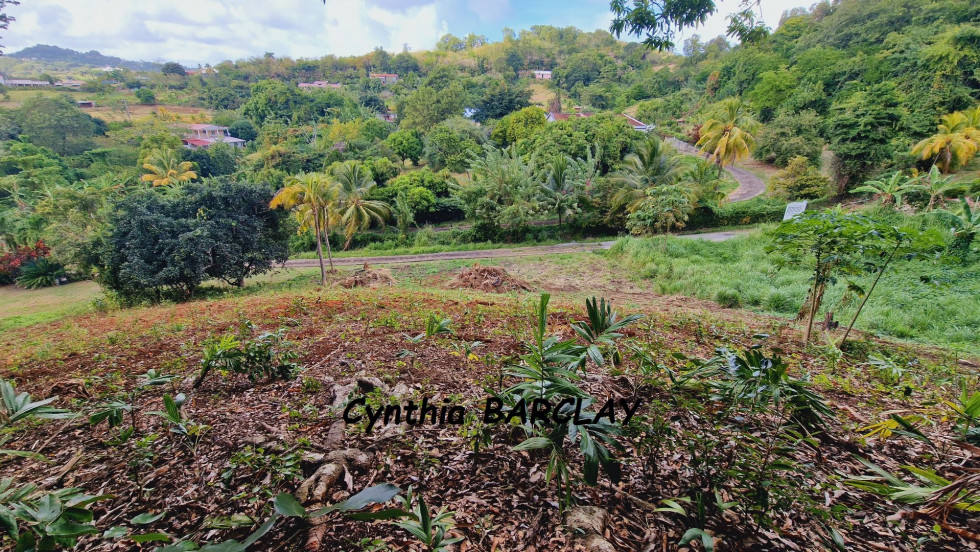 vente Terrain Le Francois - Photo 4