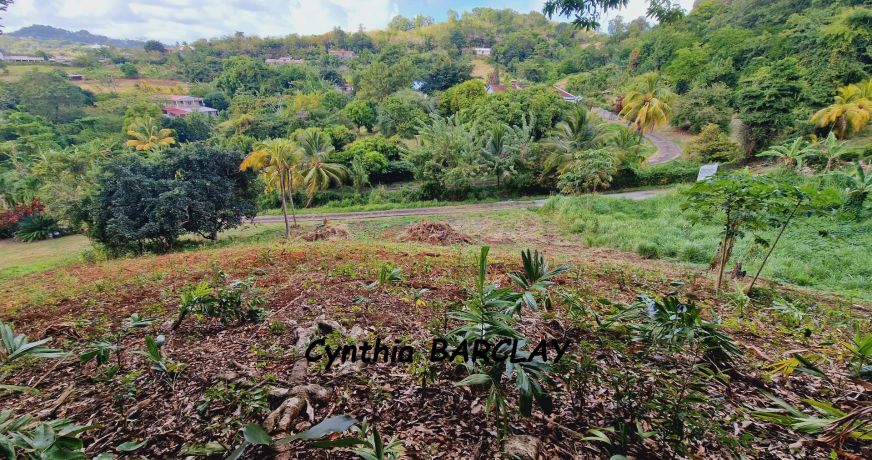 vente Terrain Le Francois