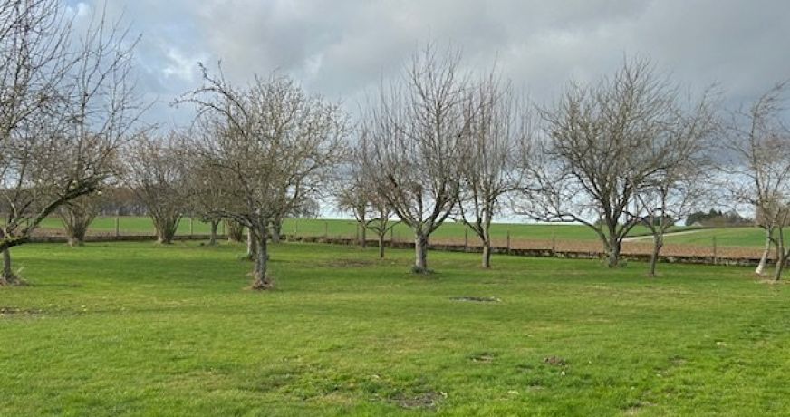 vente Maison La Ferte Gaucher