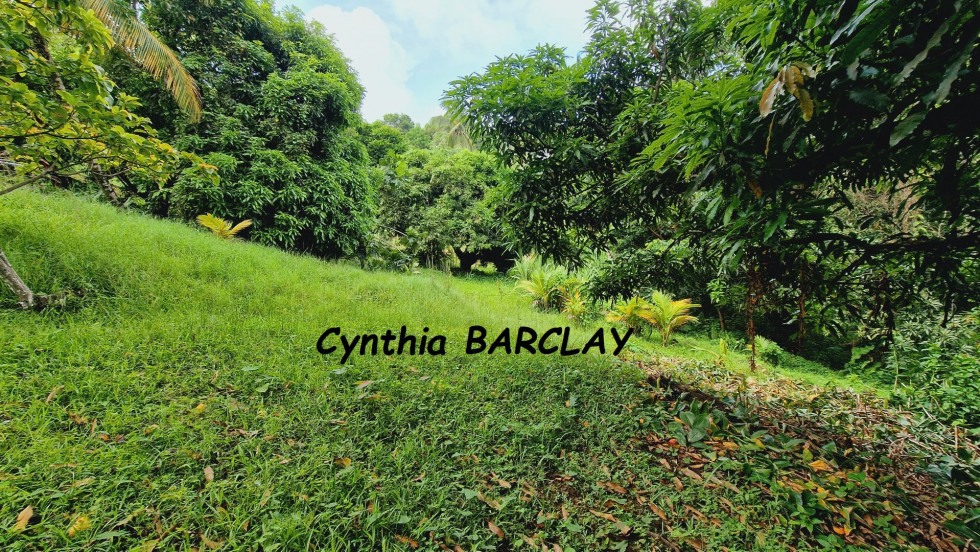 vente Maison Riviere Salee - Photo 9