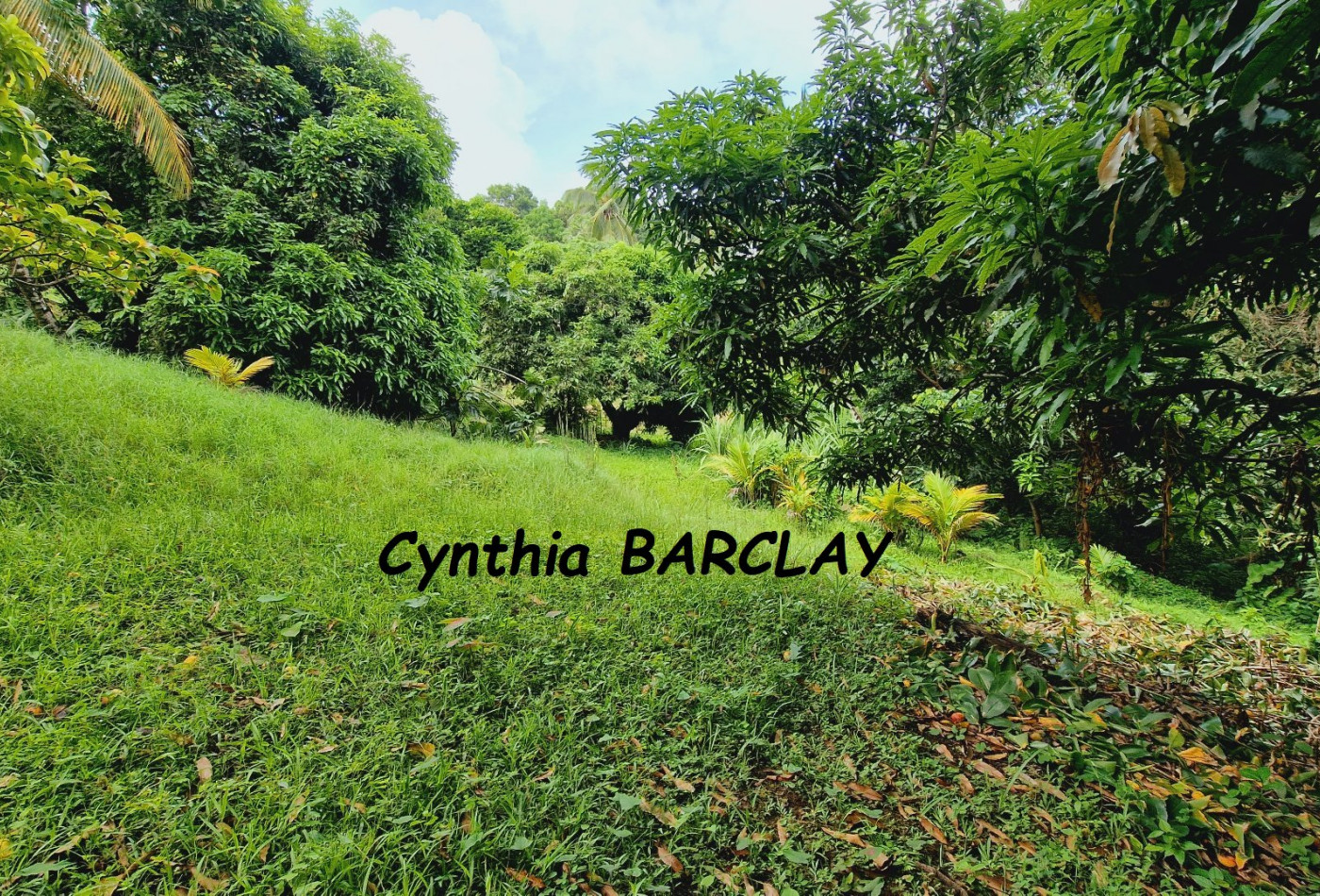 vente Maison Riviere Salee - Photo 9