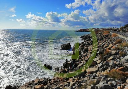 vente Locaux d'activité Sete