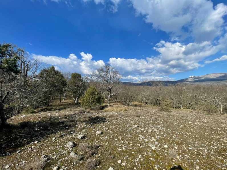 vente Terrain bois  fort Saint Vallier De Thiey