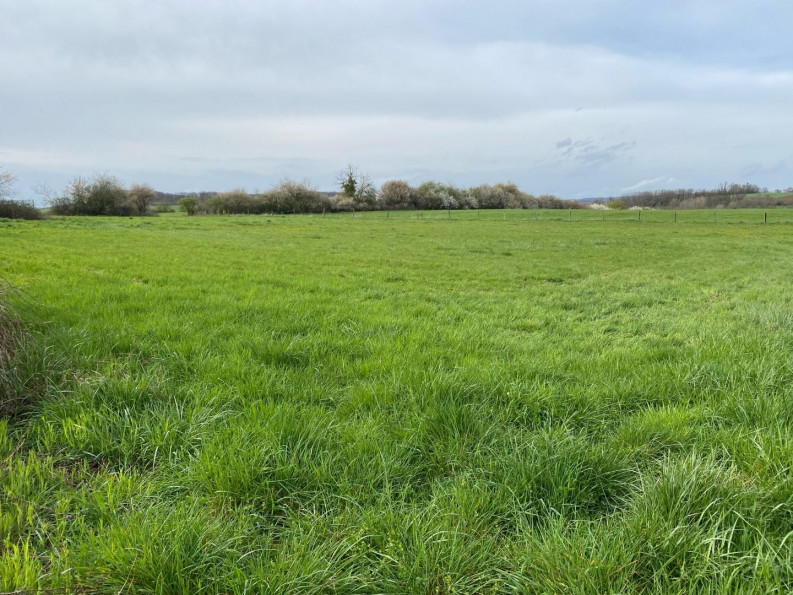 vente Terrain Velleminfroy - Photo 2