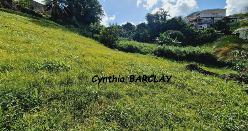 vente Terrain Fort De France
