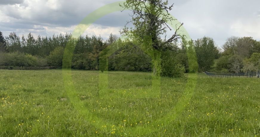 vente Terrain Pionnat