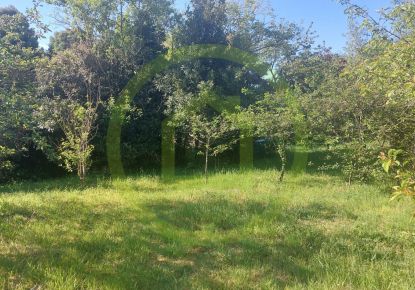 vente Terrain constructible Taverny