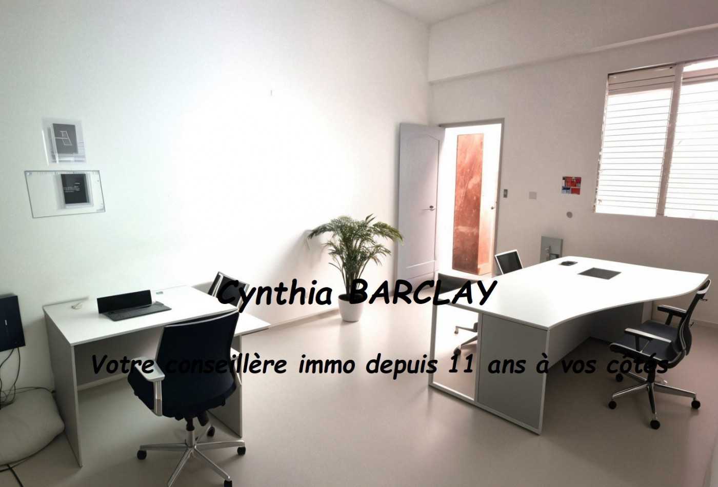 vente Local commercial Le Morne Rouge - Photo 1