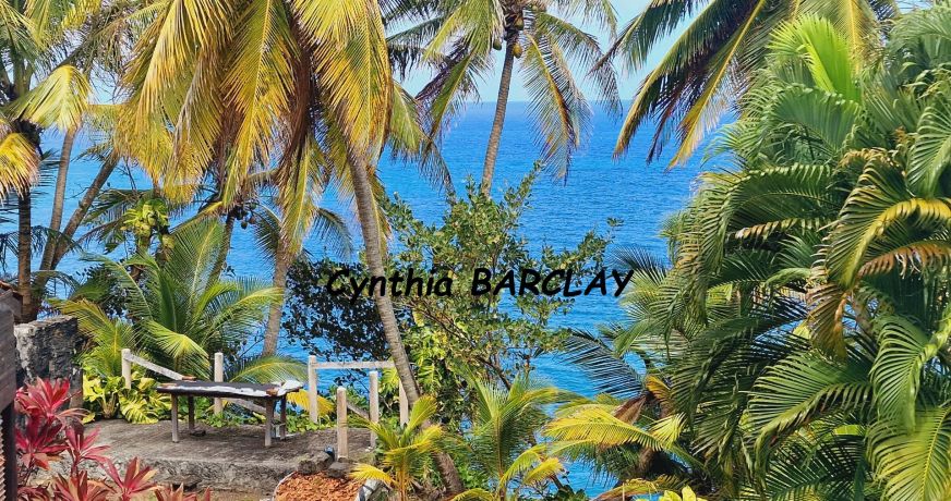 vente Immeuble Basse Pointe