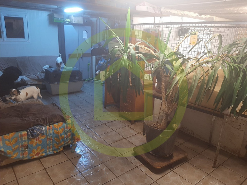 vente Propriété Boussac - Photo 8