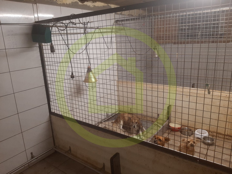 vente Propriété Boussac - Photo 9