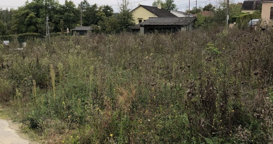 vente Terrain constructible Maule