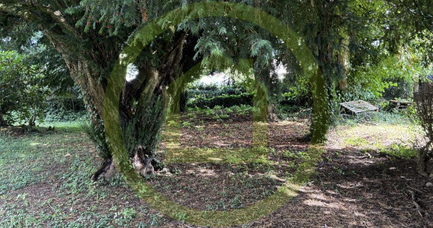 vente Maison de caractère Chenerailles