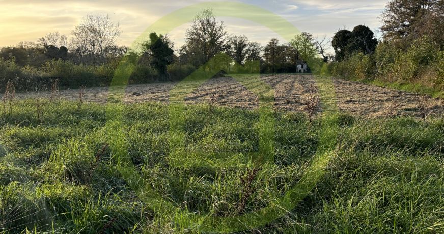 vente Maison Blaudeix
