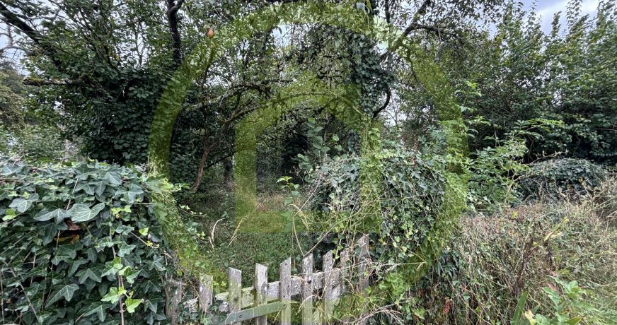 vente Maison Blaudeix