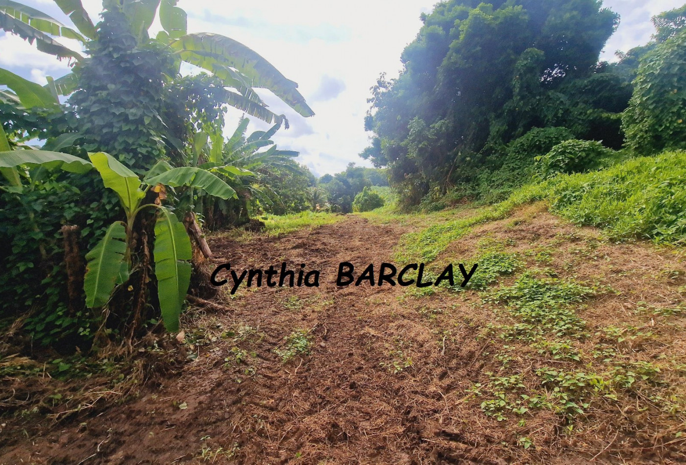 vente Terrain Ducos - Photo 5