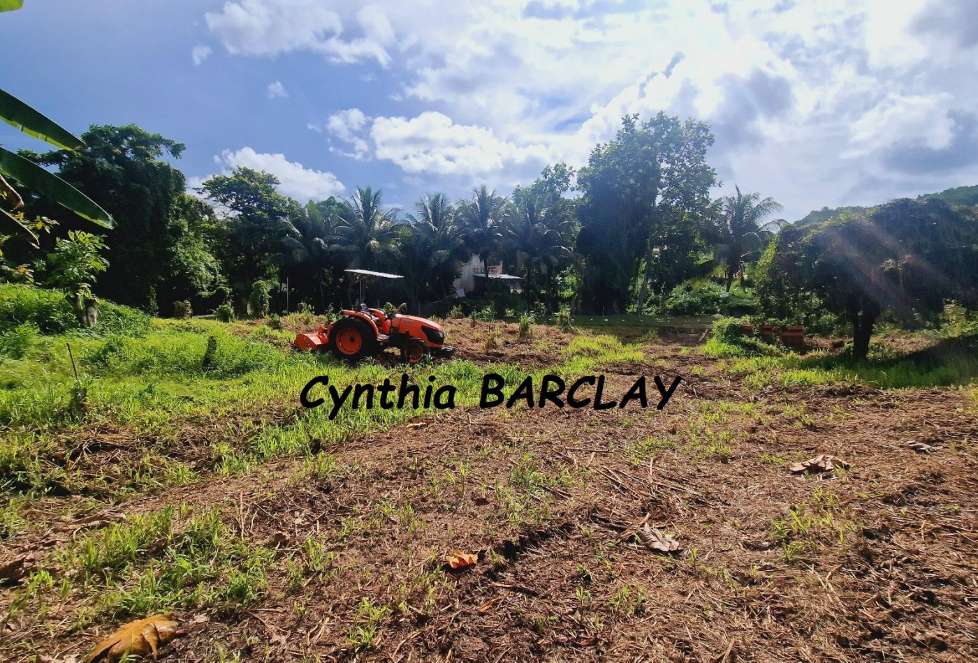 vente Terrain Ducos - Photo 2