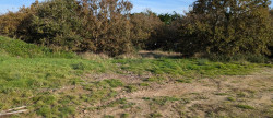 vente Terrain constructible Bretignolles Sur Mer