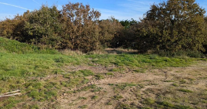 vente Terrain constructible Bretignolles Sur Mer