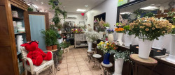 vente Fleuriste Nice