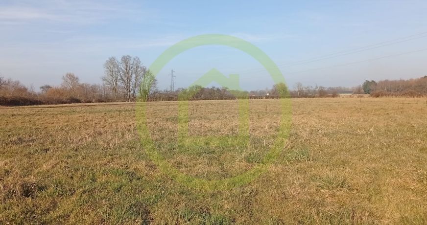 vente Corps de ferme Saint Bonnet En Bresse
