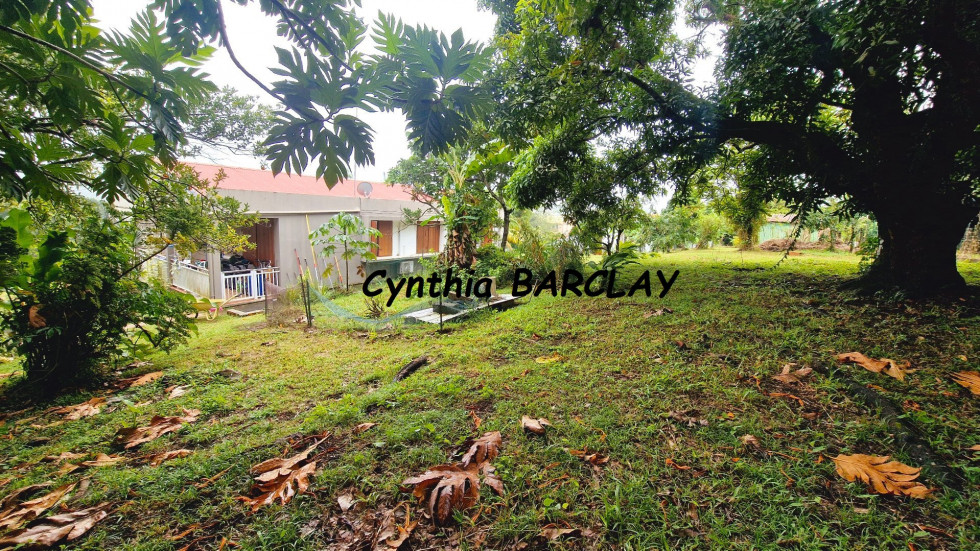 vente Maison Le Lamentin - Photo 4