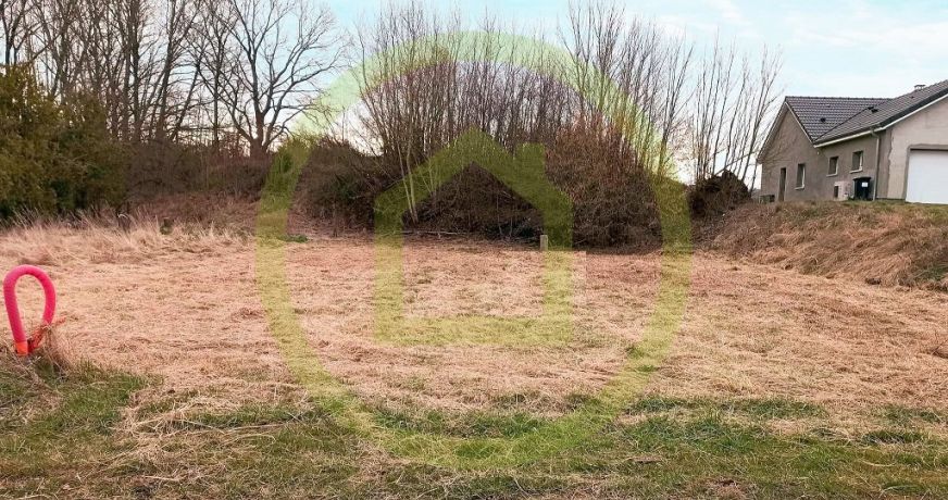 vente Terrain constructible Rodalbe