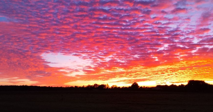 vente Maison individuelle Mauleon