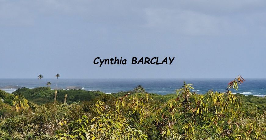 vente Terrain Sainte Anne