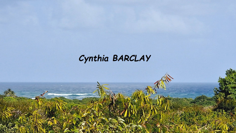 vente Terrain Sainte Anne - Photo 3