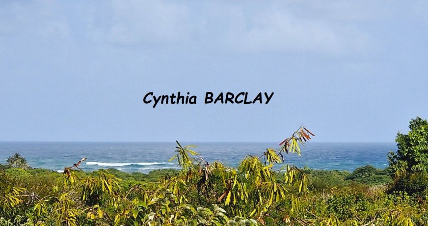 vente Terrain Sainte Anne