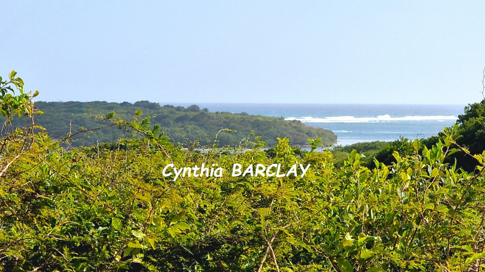 vente Terrain Sainte Anne - Photo 4