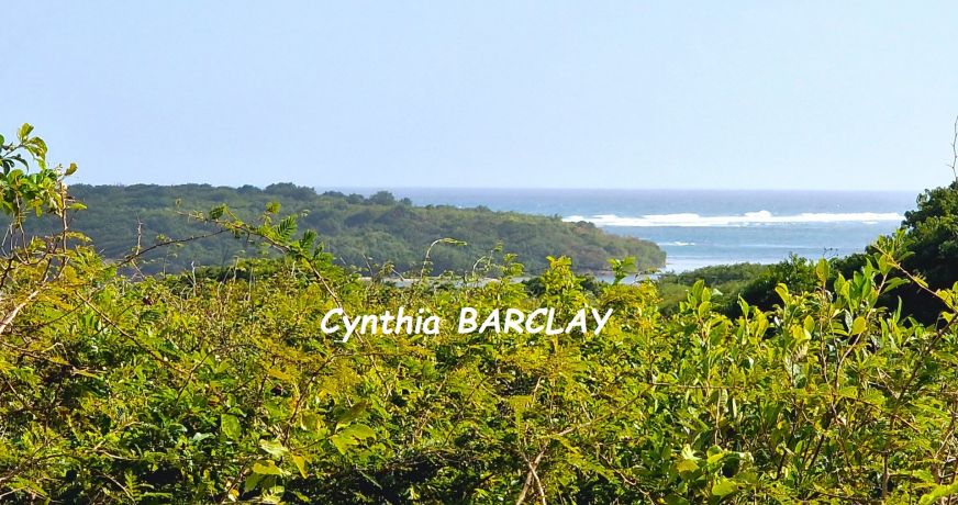 vente Terrain Sainte Anne